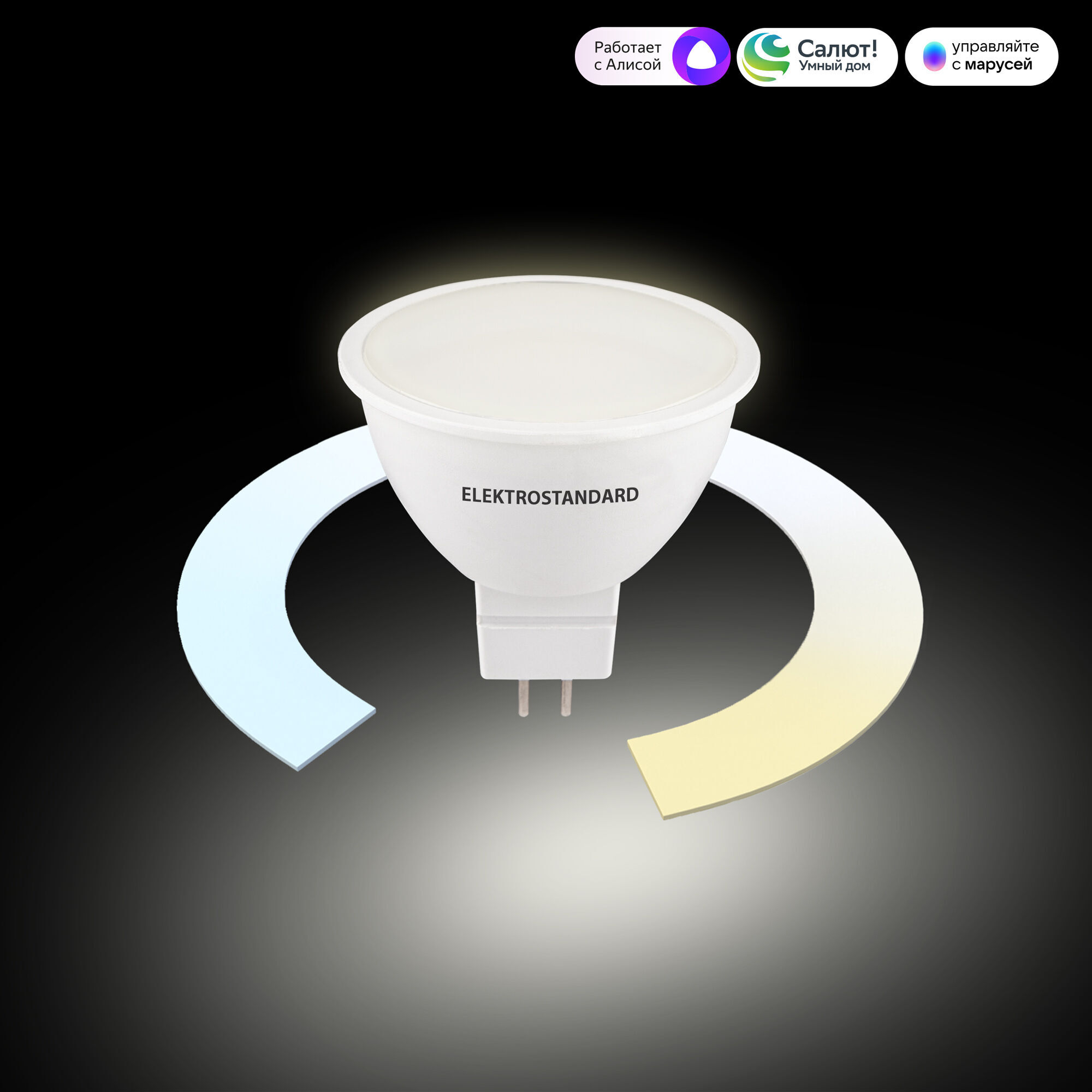 Лампочка Elektrostandard BLG5318