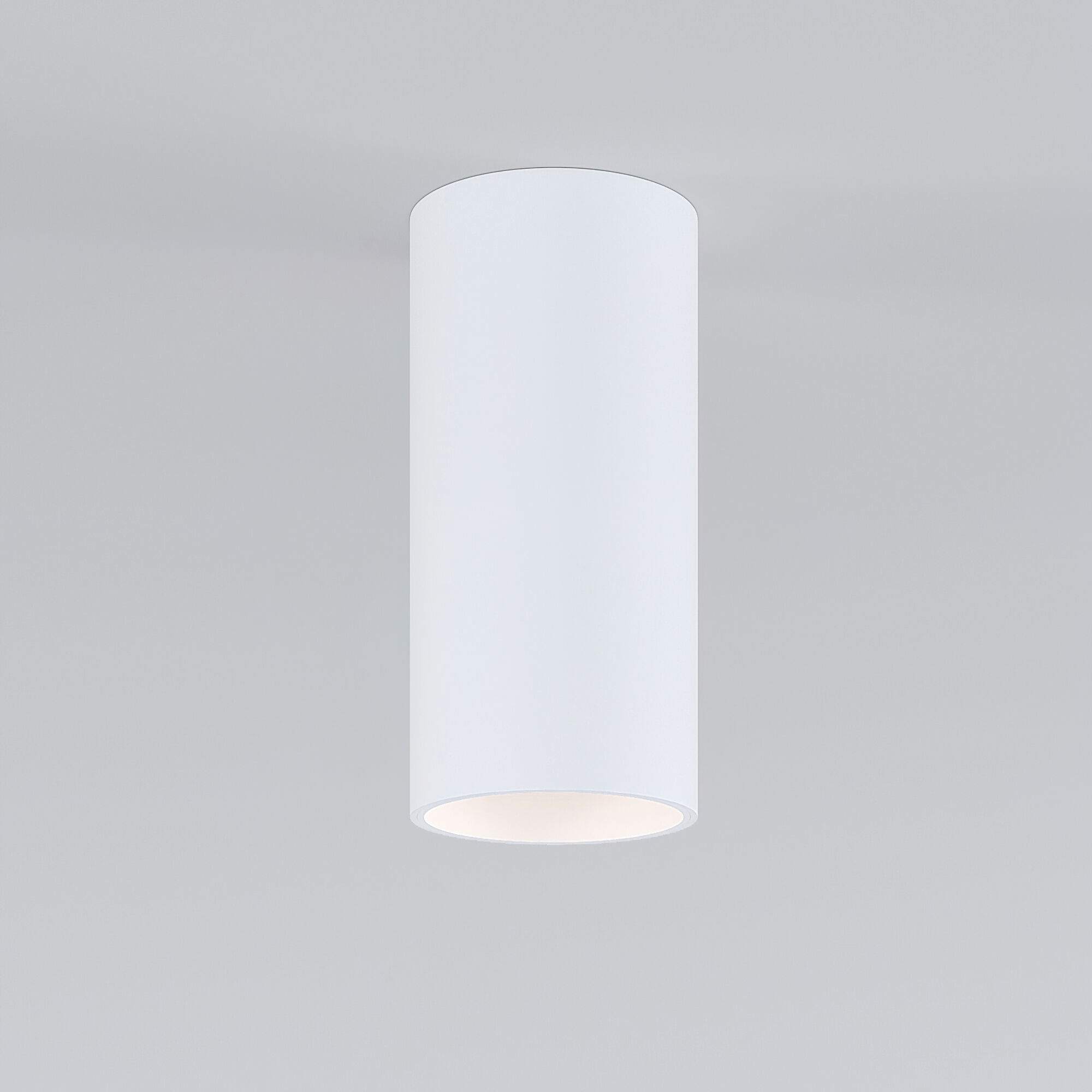 Светильник Elektrostandard 85580/01