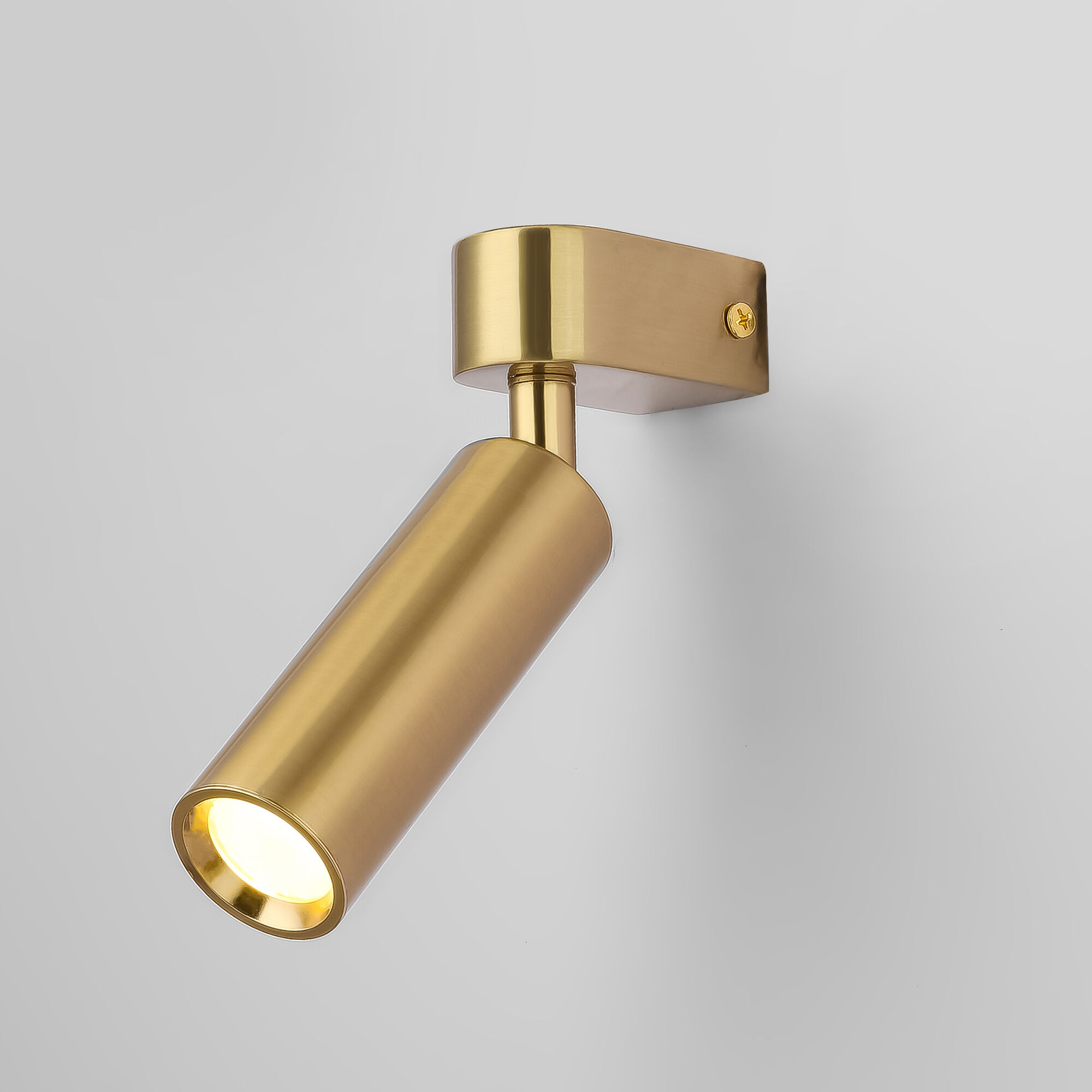 Светильник Eurosvet 20143/1 LED латунь