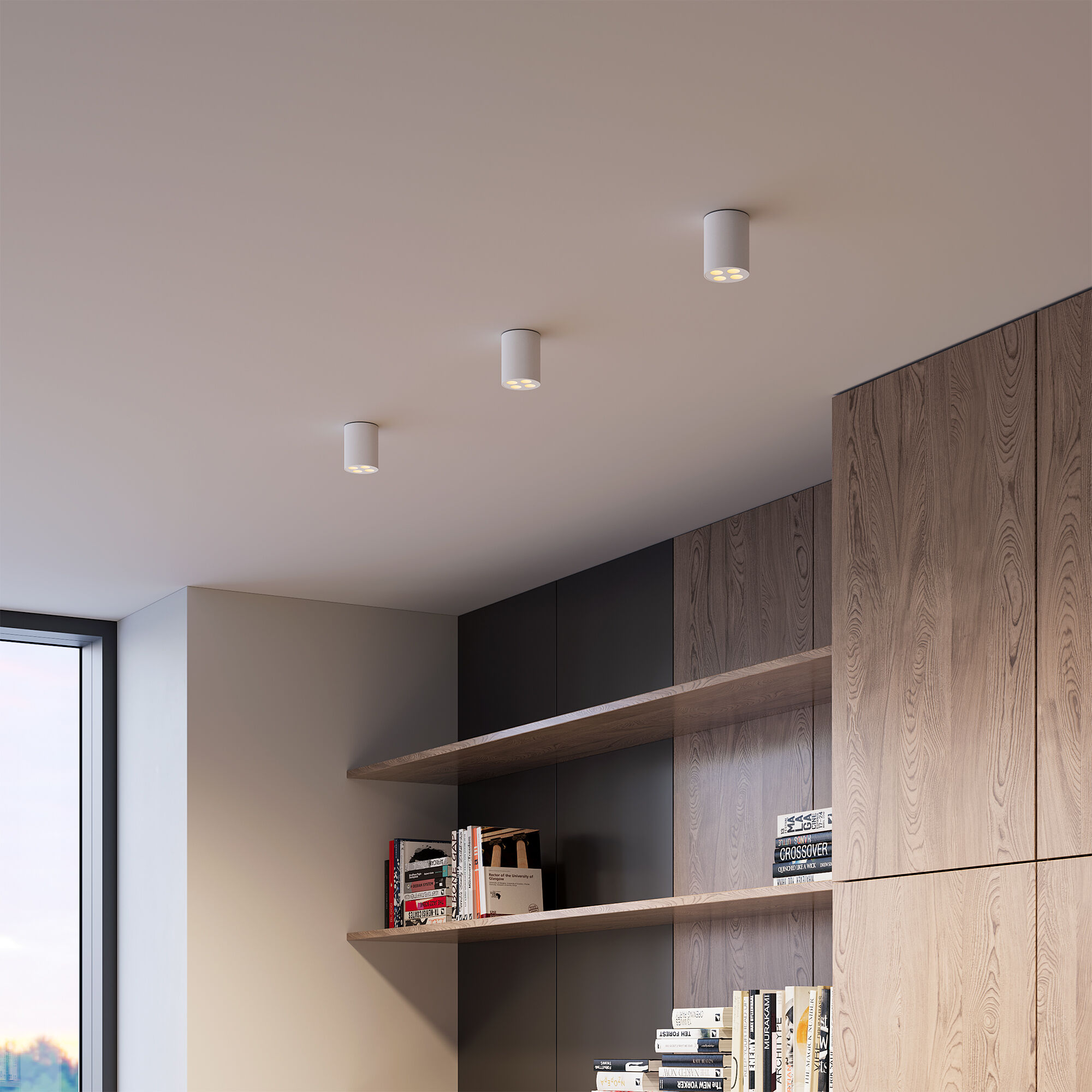 Светильник Elektrostandard 25111/LED