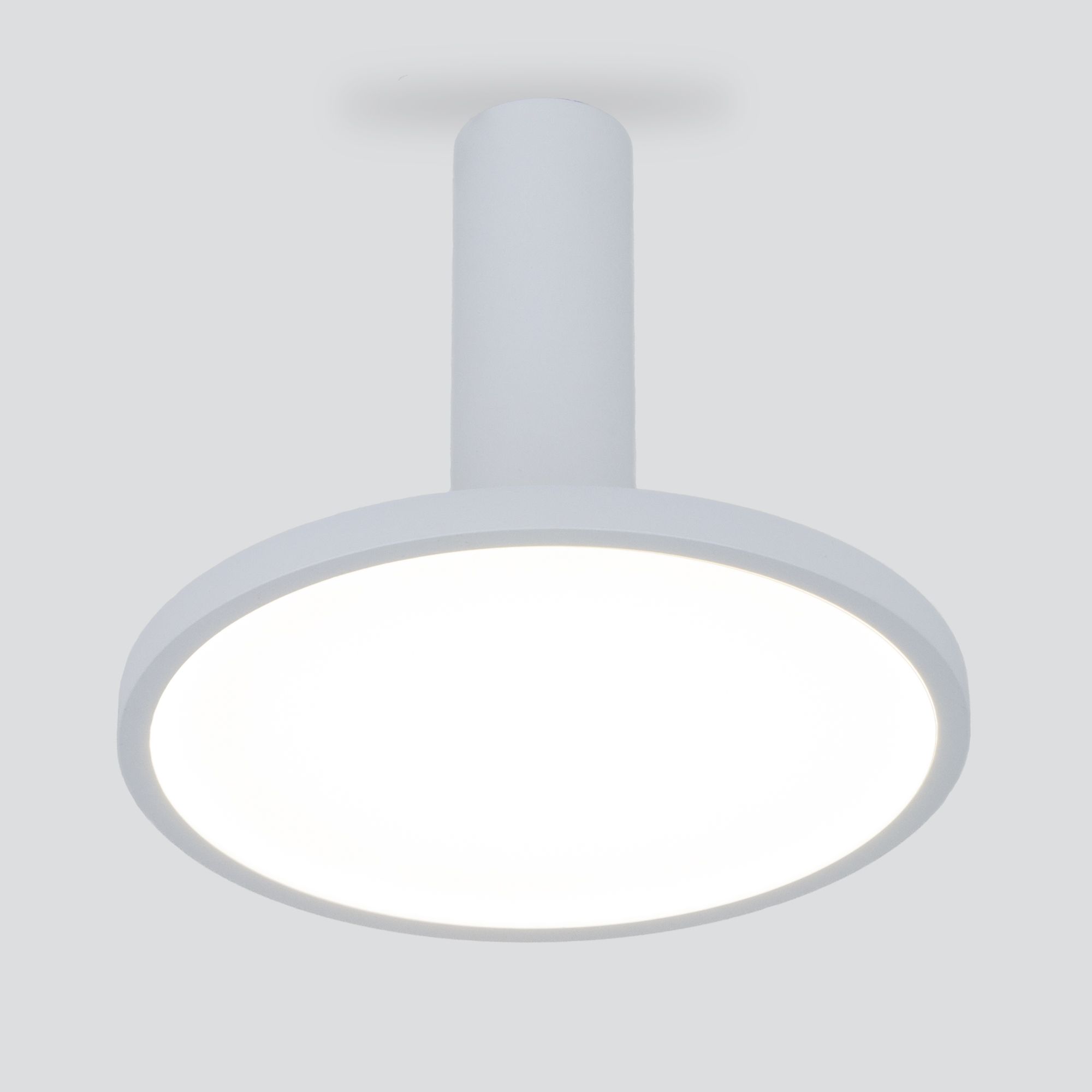 Светильник накладной Elektrostandard DLS029