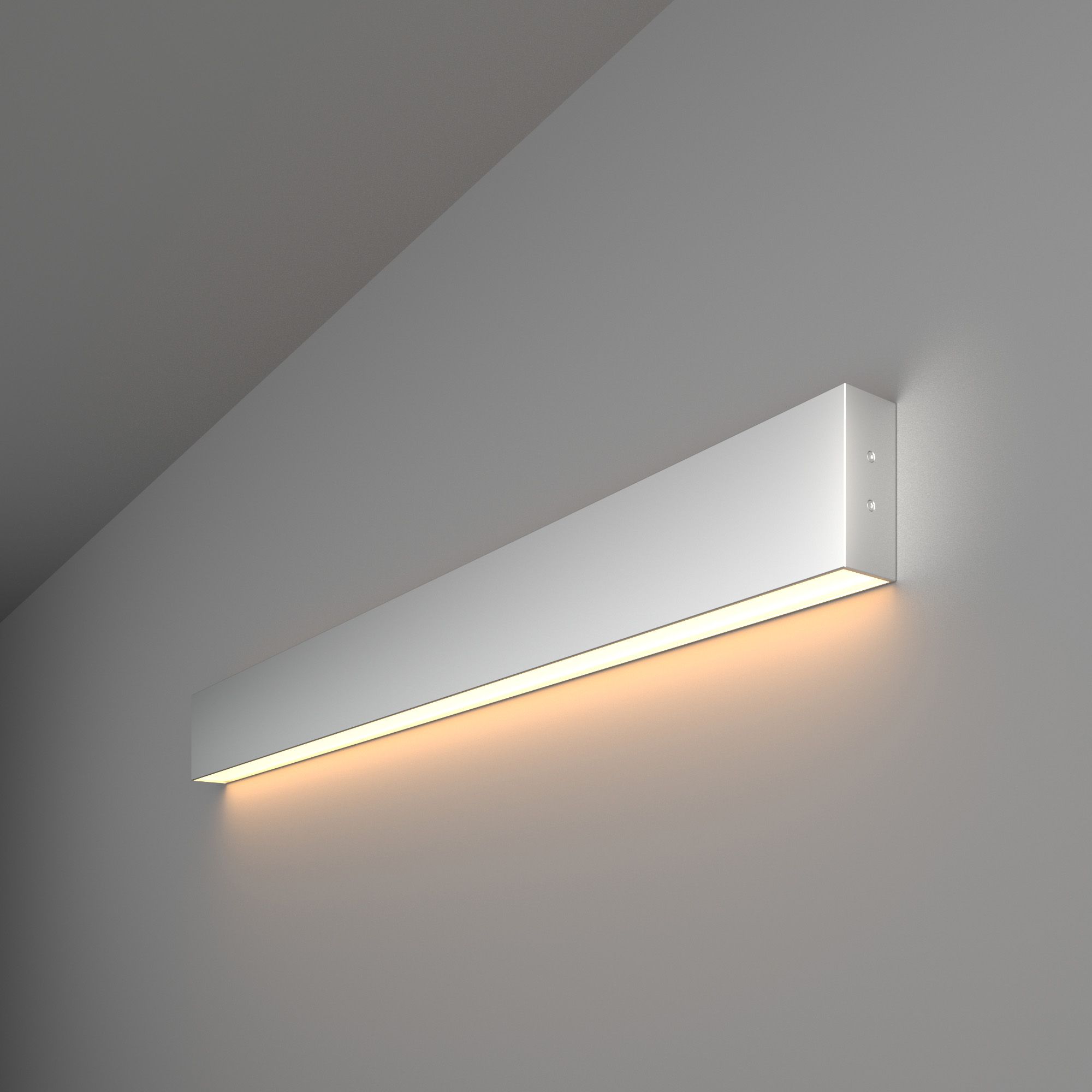 Светильник линейный Elektrostandard Pro 101-100-30-78