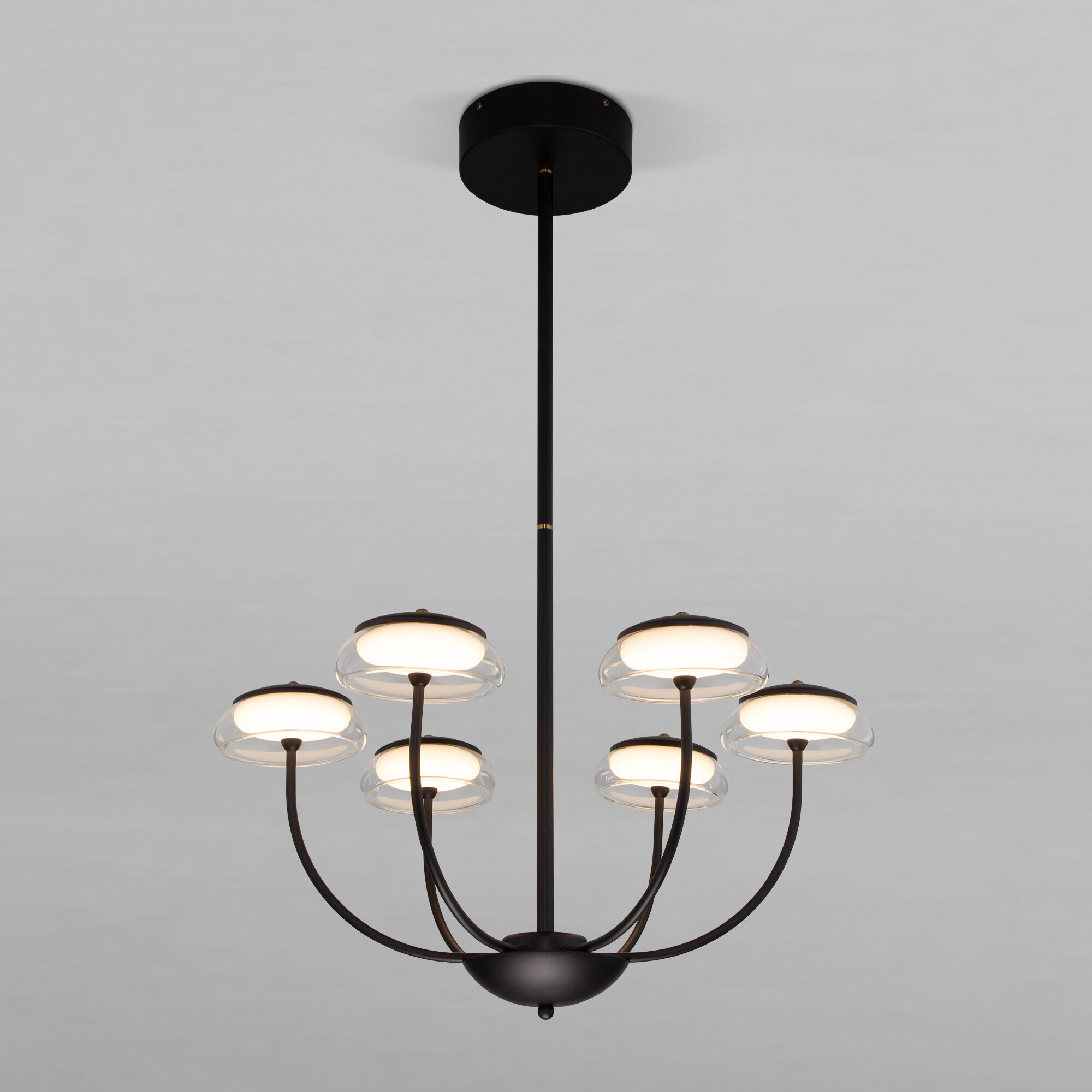 Светильник Eurosvet 50388 LED Черный