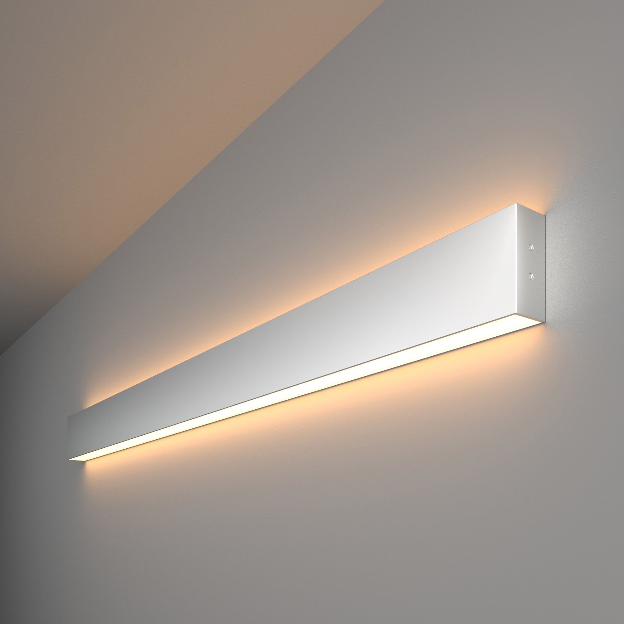 Светильник линейный Elektrostandard Pro 101-100-40-103