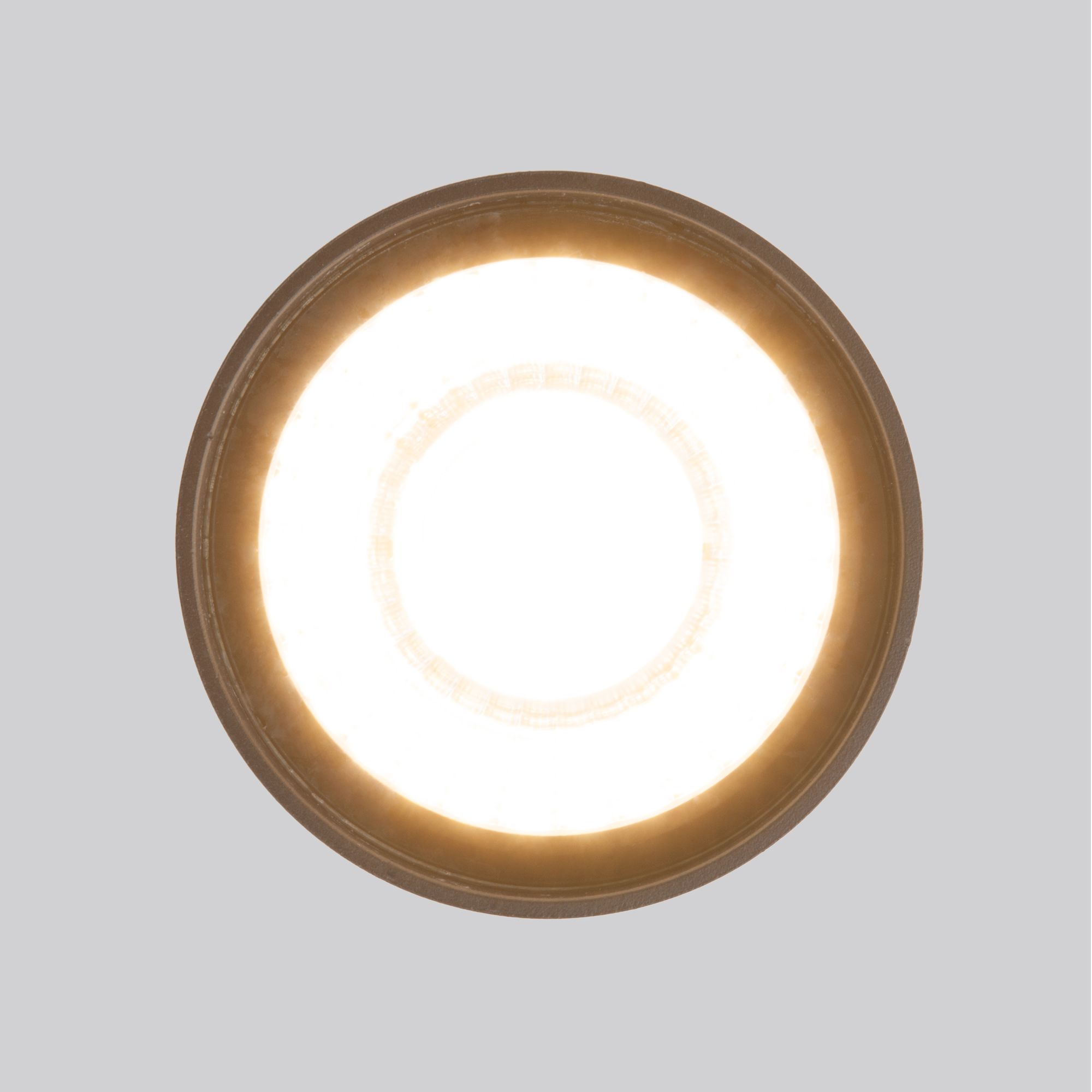 Светильник потолочный Elektrostandard 35132/H черный