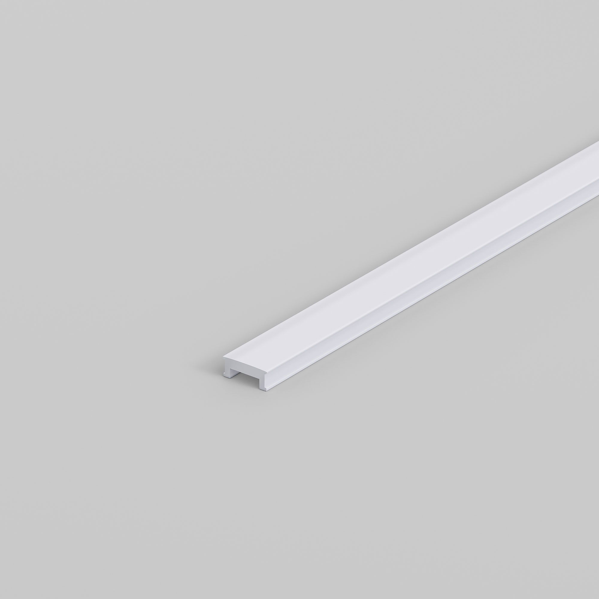 Elektrostandard RL-2-ALP024