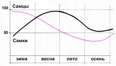 Репродуктивность кроликов в разное время года