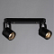 Спот на 2 лампы ARTE LAMP A1311PL-2BK