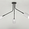 Rivoli 3167-303