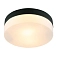 Светильник ARTE LAMP A6047PL-2BK