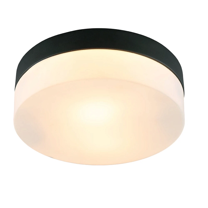 Светильник ARTE LAMP A6047PL-2BK