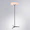 Divinare 1029/06 PN-11