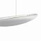 Светильник Freya FR5441PL-L40G