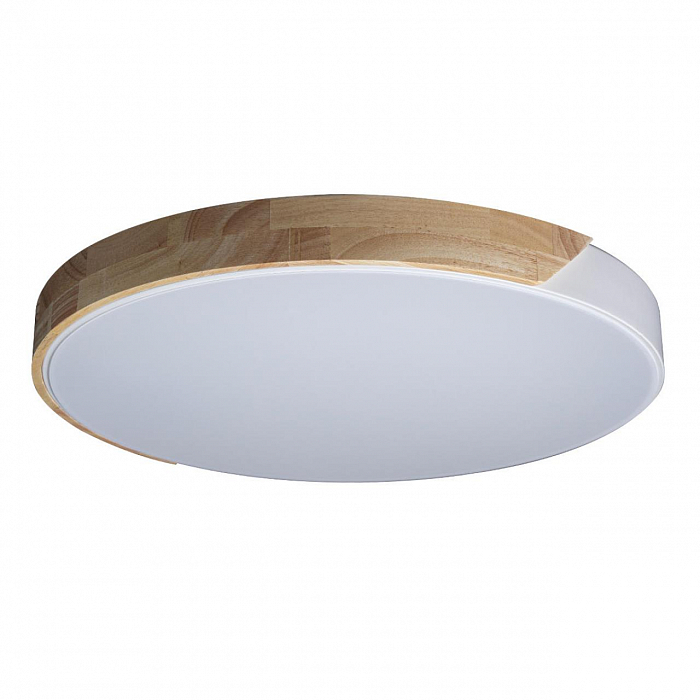 Светильник светодиодный LOFT IT 10004/36 White