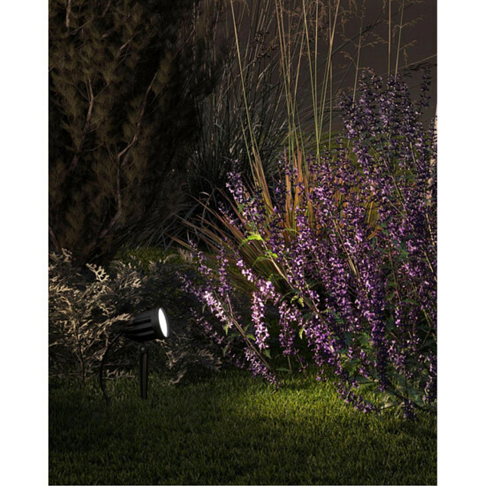 ARTE LAMP A1127IN-1BK