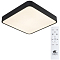 Светильник с пультом ARTE LAMP A2663PL-1BK