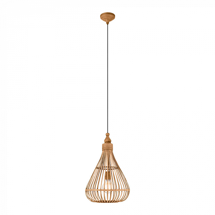 Светильник одинарный Eglo 49772