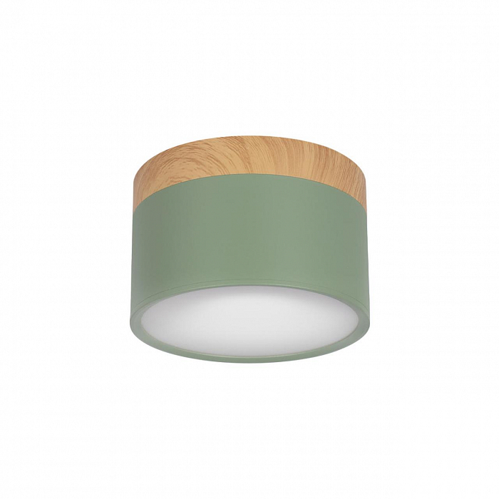 Светильник LOFT IT 10162 Green