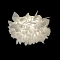 LOFT IT 10594/530C White