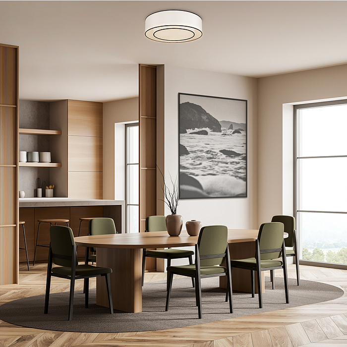 Светильник потолочная Maytoni MOD613CL-03W