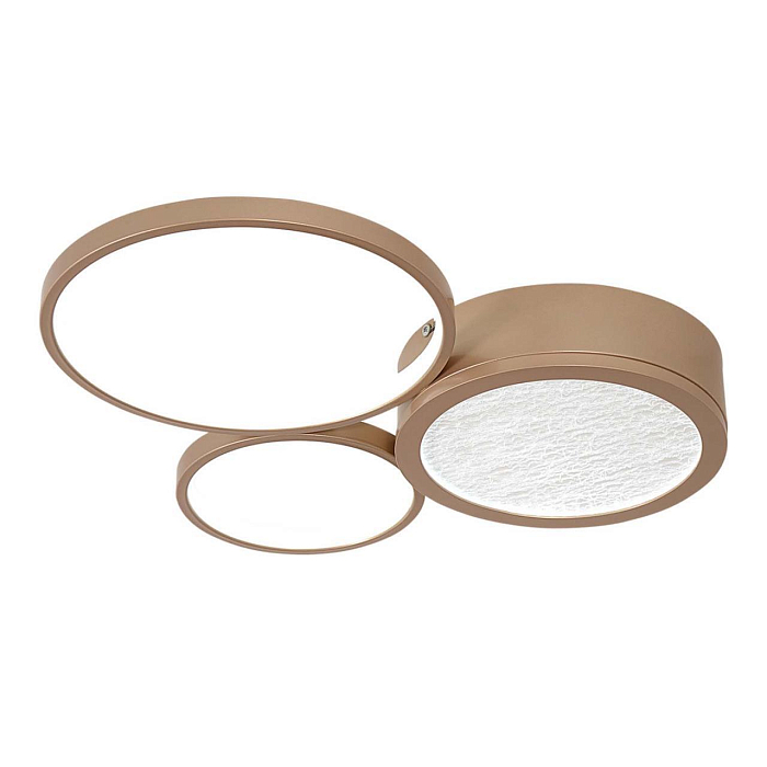 F-Promo 4681-3C