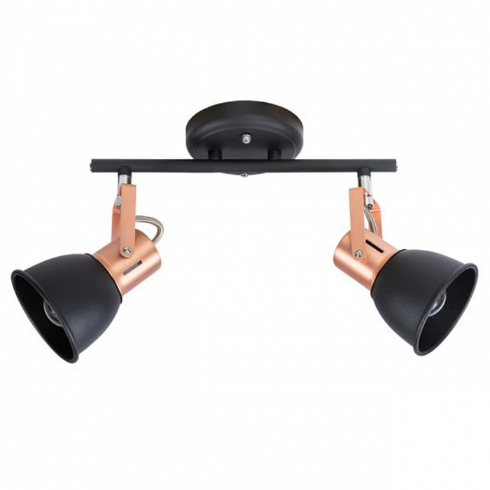 Спот на 2 лампы ARTE LAMP A1677PL-2BK
