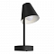 Светильник LOFT IT 10216/1W Black