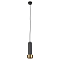 Светильник ARTE LAMP A3147SP-1BK