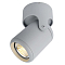 Спот на 1 лампу ARTE LAMP A3316PL-1GY
