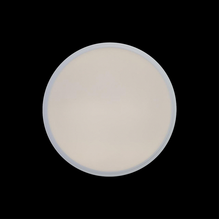 Светильник светодиодный LOFT IT 10002/12 White