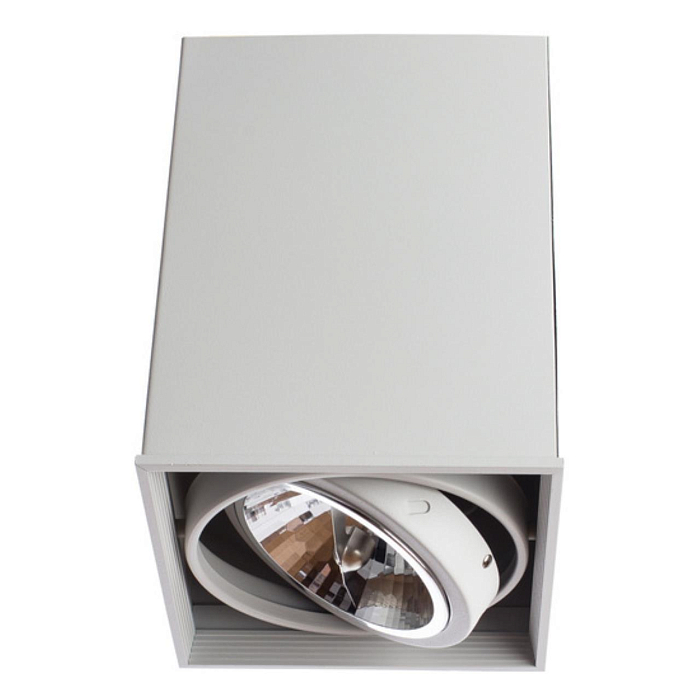 Светильник ARTE LAMP A5936PL-1WH