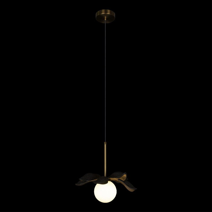 Светильник LOFT IT 10213/A Black