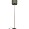 Торшер Brizzi modern BR00333