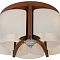 Люстра потолочная Sfera Sveta 85652/5C BROWN+CHROME