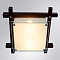 Светильник на 2 лампы ARTE LAMP A6462PL-2CK