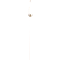 Торшер на 2 и более ламп NewRgy THN3119 SWH+SN