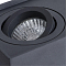 Светильник накладной ARTE LAMP A5544PL-2BK