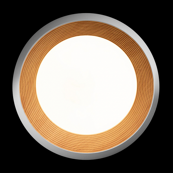 Светильник LOFT IT 10255/500 White