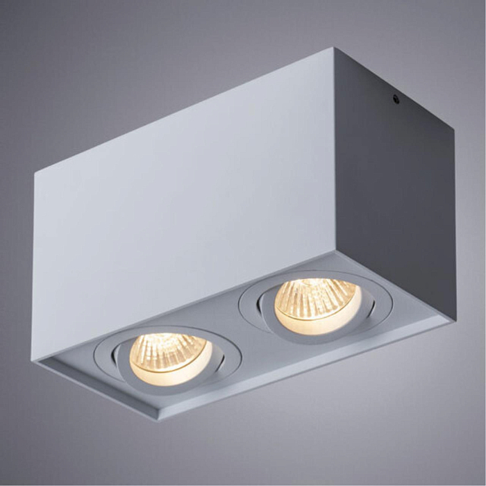 Светильник накладной ARTE LAMP A5544PL-2WH