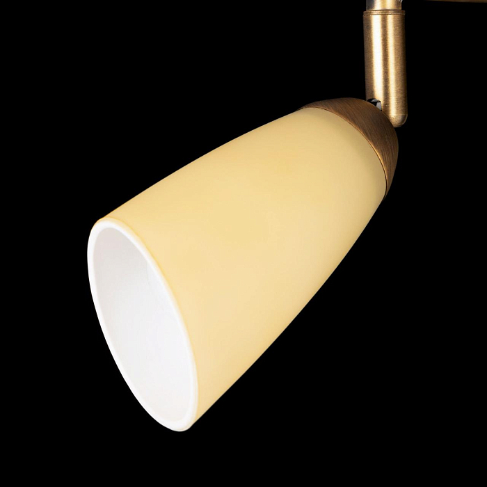 Спот на 3 и более ламп  CL501163