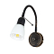 Бра на 1 лампу ARTE LAMP A7009AP-1BR