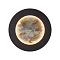 Favourite 4596-1W