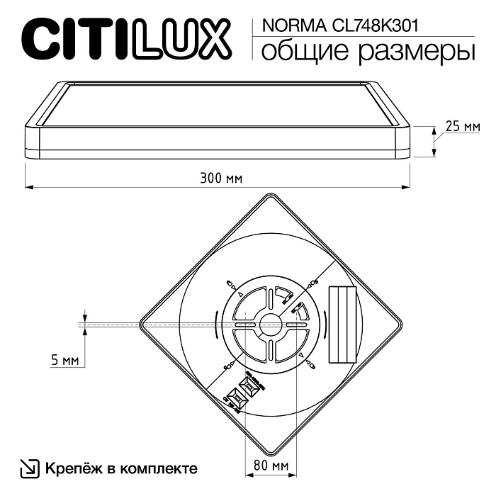 Светильник  CL748K301