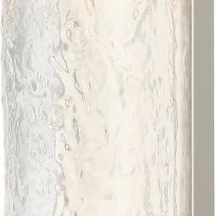  2194/11/02W