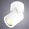 Спот на 1 лампу ARTE LAMP A3316PL-1WH