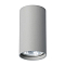 Светильник накладной ARTE LAMP A1516PL-1GY