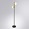 Торшер ARTE LAMP A2224PN-2BK