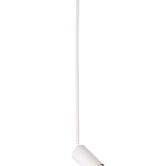 Светильник NewRgy P070DW/1 WHITE