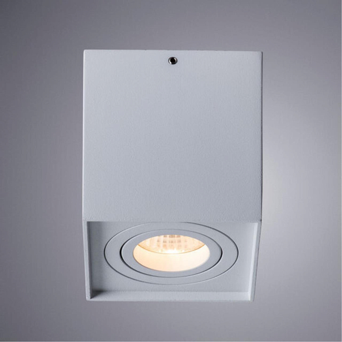 Светильник накладной ARTE LAMP A5544PL-1WH