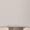 Торшер на 1 лампу ARTE LAMP A2589PN-1SS